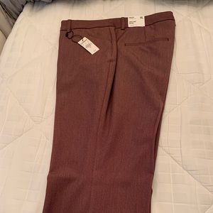 Express Barely Boot Pants